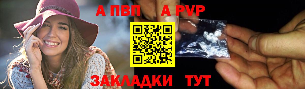 Alfa_PVP СК КРИС Горно-Алтайск