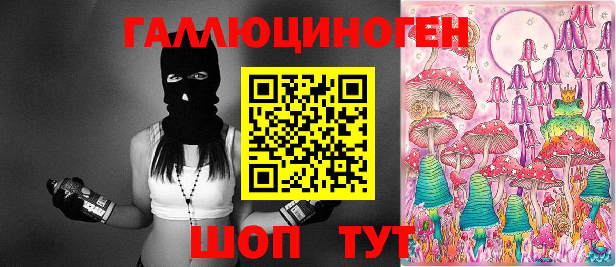 Псилоцибиновые грибы прущие грибы  Вход с VPN  Горно-Алтайск 
